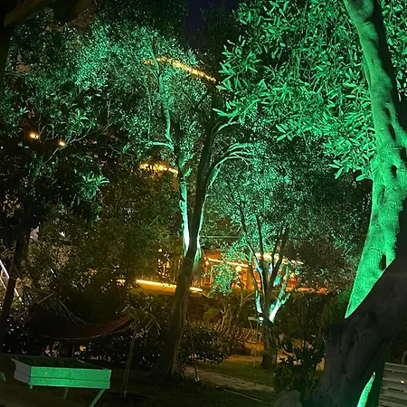 Gold Monami Boutique Hotel Fethiye